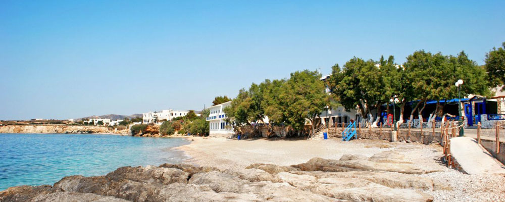 Δρυός
