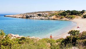 7. Τρυπητή