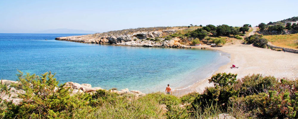 Τρυπητή