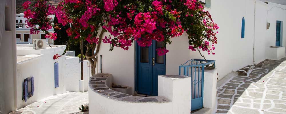 Λεύκες