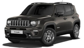 Group I: Jeep Renegade