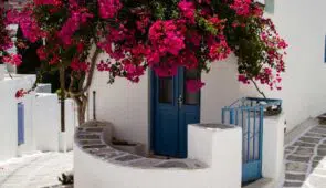 3. Lefkes